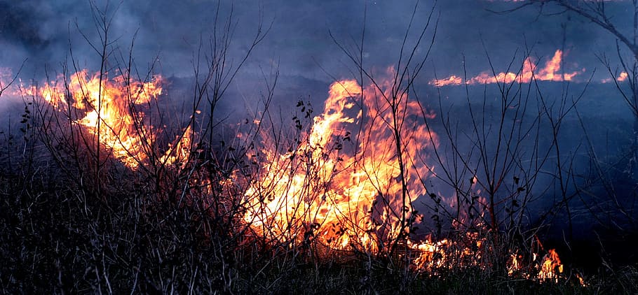 Fire, Smoke, Flame, Disaster, red, apocalyptic, horror, fire - Natural Phenomenon HD wallpaper