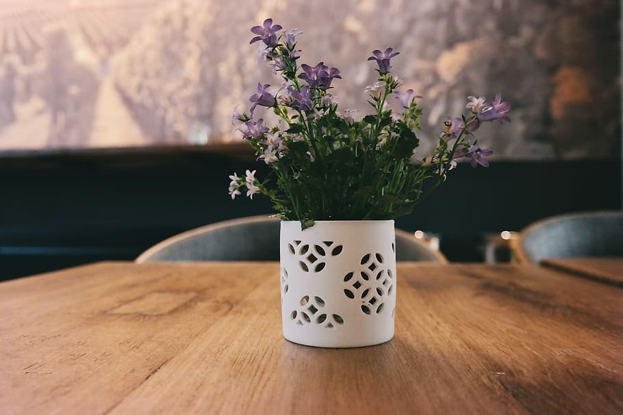 purple petaled flowers in white flower vase located on brown wooden table, landscape photography of purple clustered flowers in white pot on brown table HD wallpaper