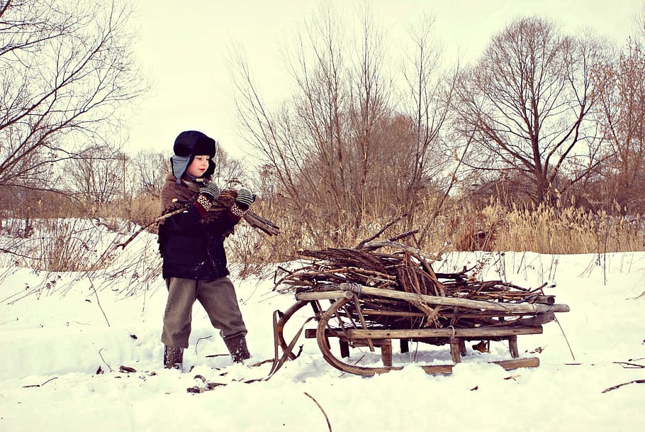 boy pilling firewood on brown wooden snow sked, winter, war HD wallpaper