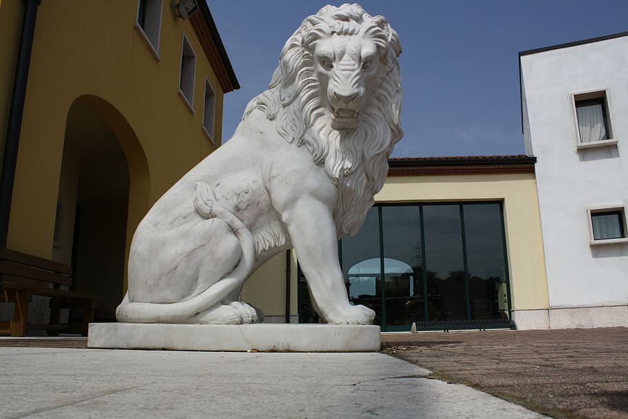 san leone, lion, statue, architecture, built structure, building exterior HD wallpaper
