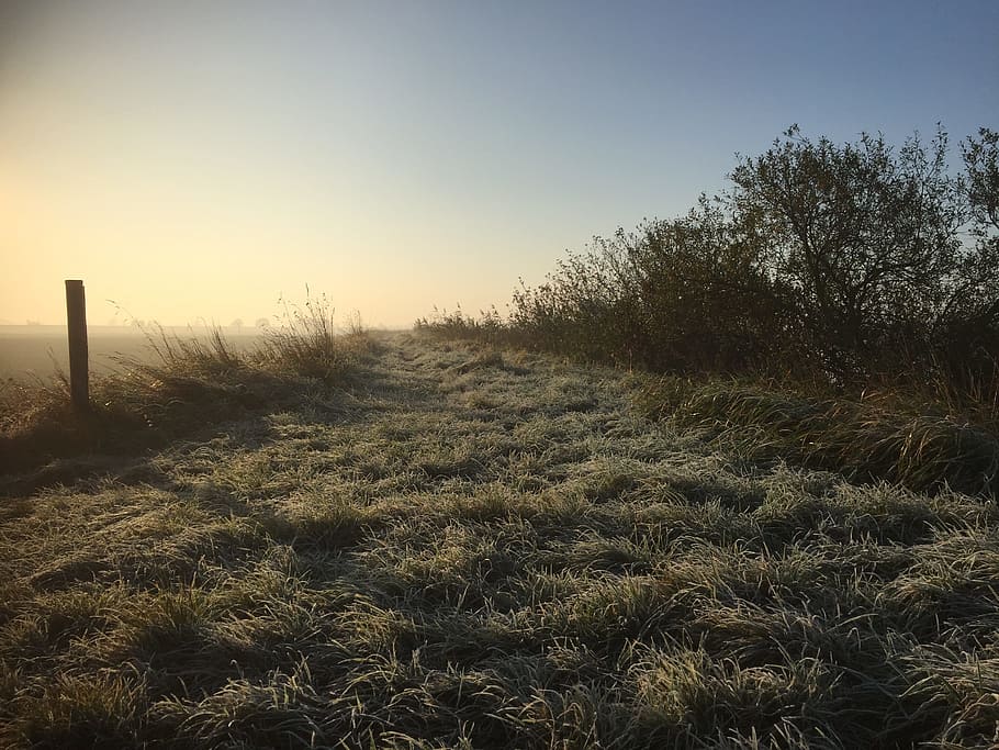 path, dew, frosty, freshness, outdoor, landscape, nature, shadows HD wallpaper