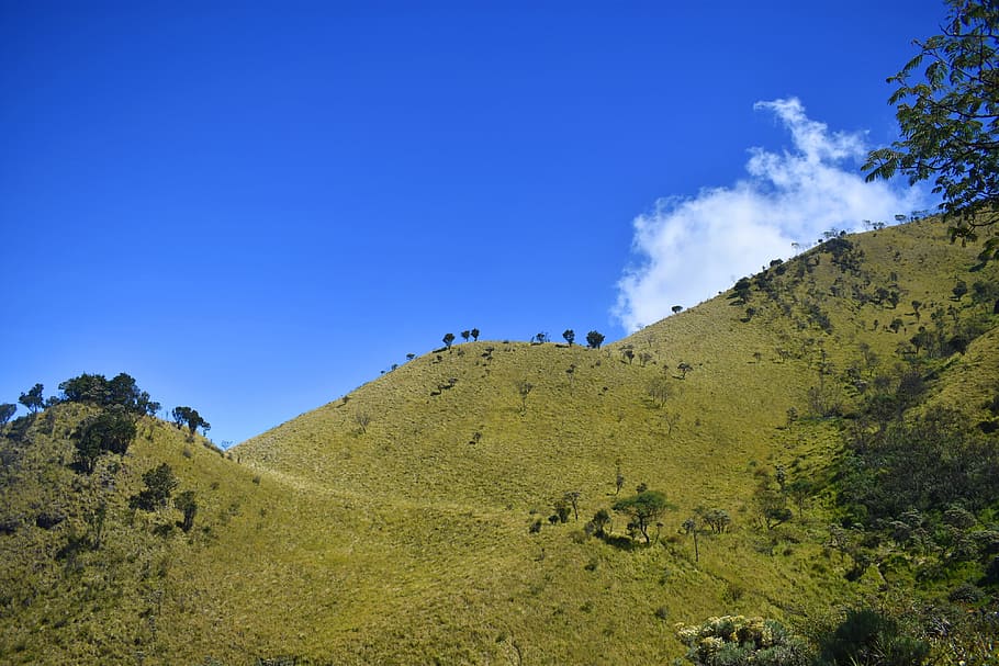 hill, indonesia, landscape, java, hiking, asia, mountain, travel HD wallpaper