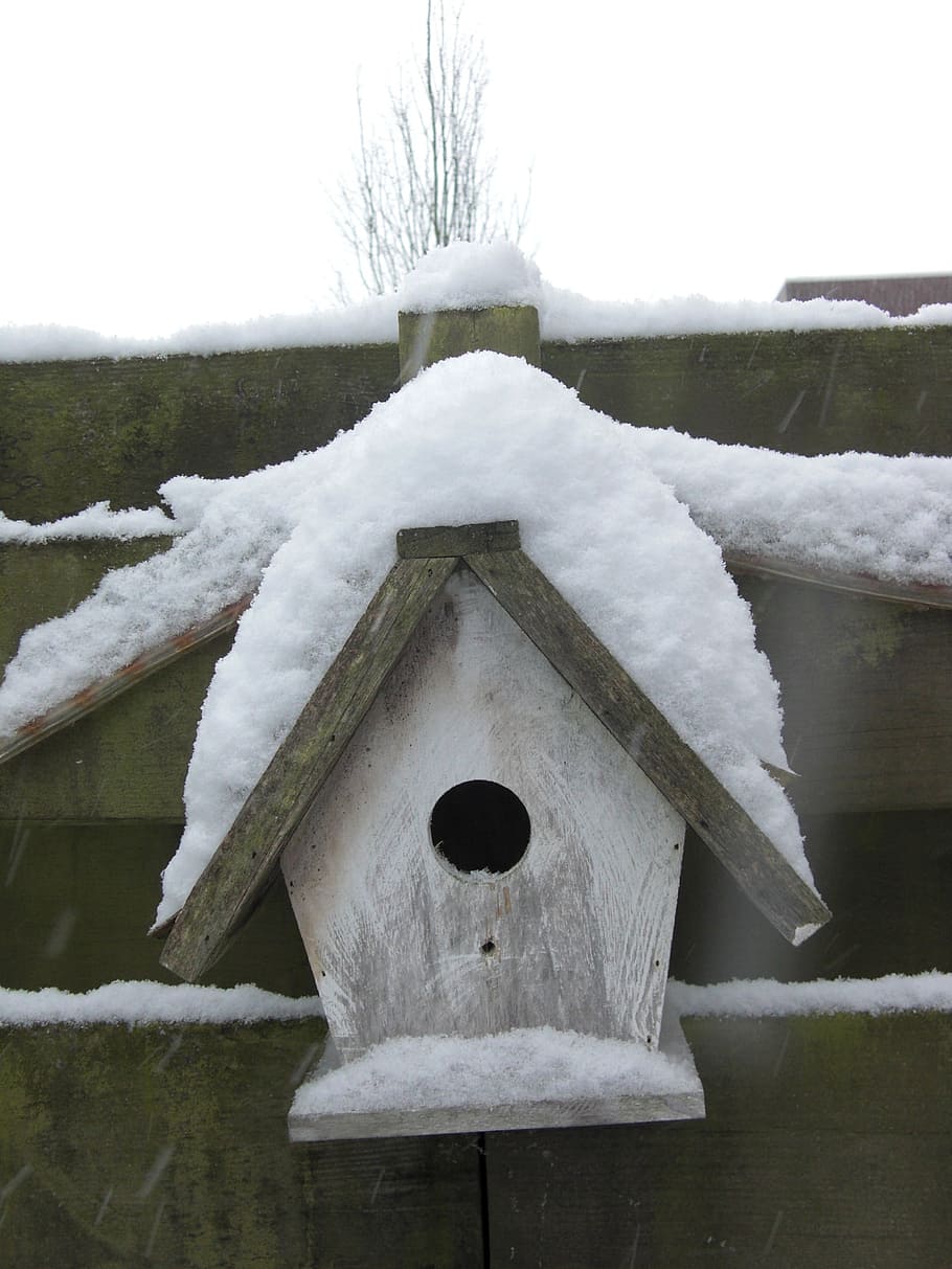 birdhouse, snow, winter, cold, snowy, white, snow landscape HD wallpaper