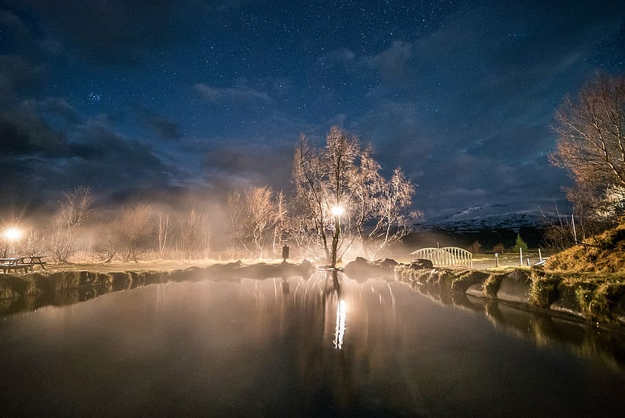 tree with light beside body of water, dark, blue, clouds, sky HD wallpaper
