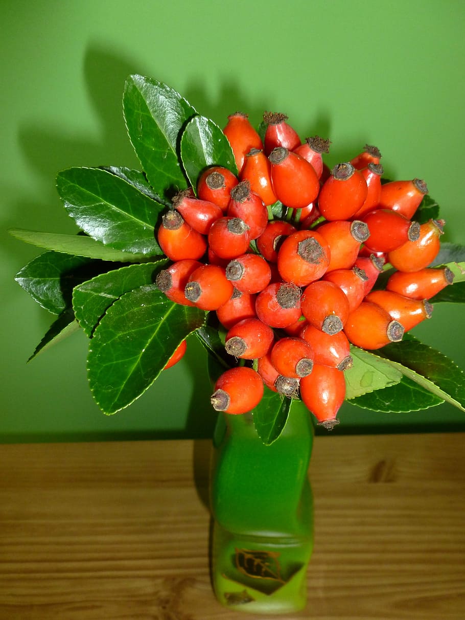 Rose Hip, Nature, Herb, leaf, food and drink, fruit, healthy eating HD wallpaper