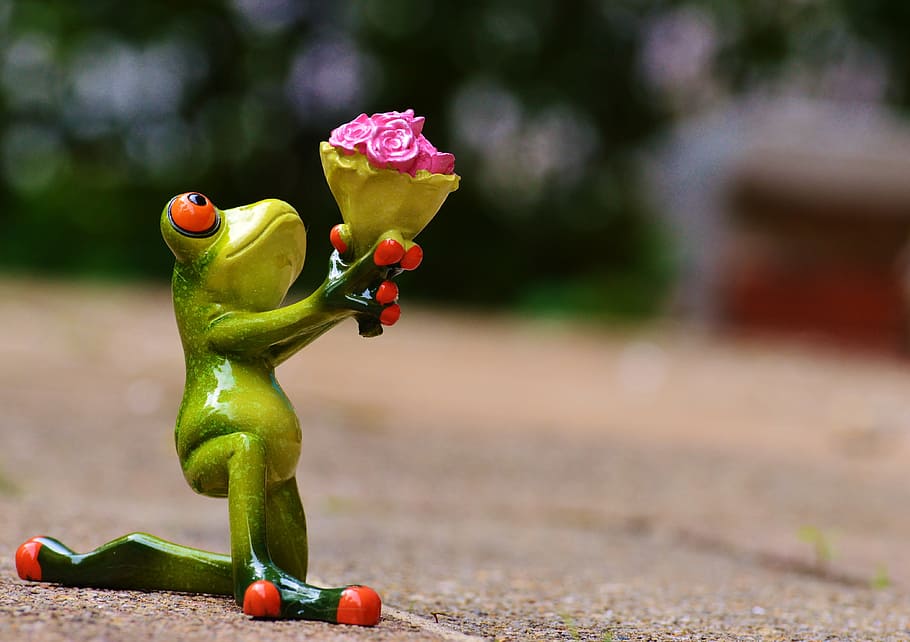 green frog holding pink bouquet of flowers, i beg your pardon