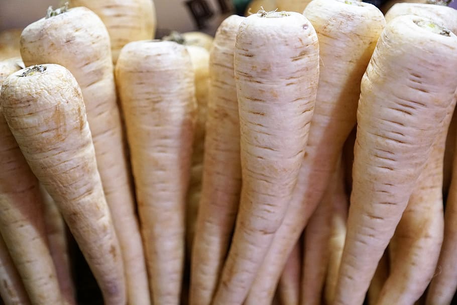 radish, fruit, vegetables, eat, food, market, sale, service HD wallpaper