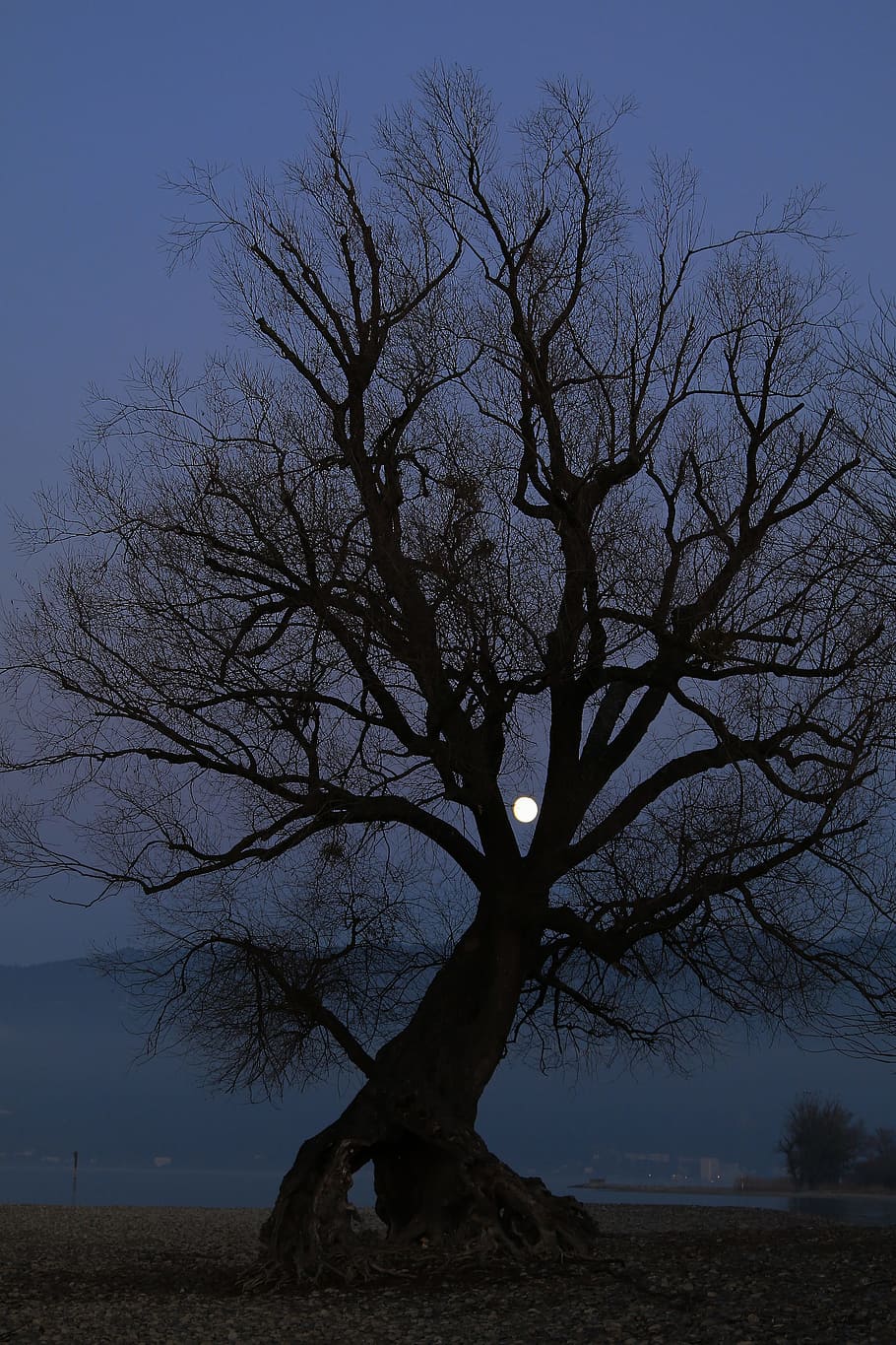 Evening, Moon, Moonlight, Night, twilight, full moon, atmosphere HD wallpaper