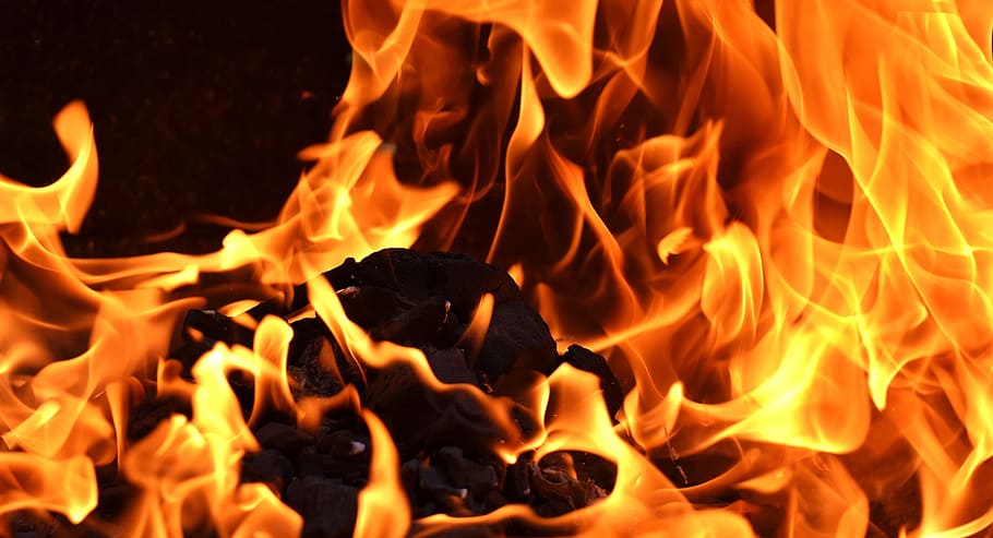 close up photo of flame, fire, carbon, burn, mood, campfire HD wallpaper