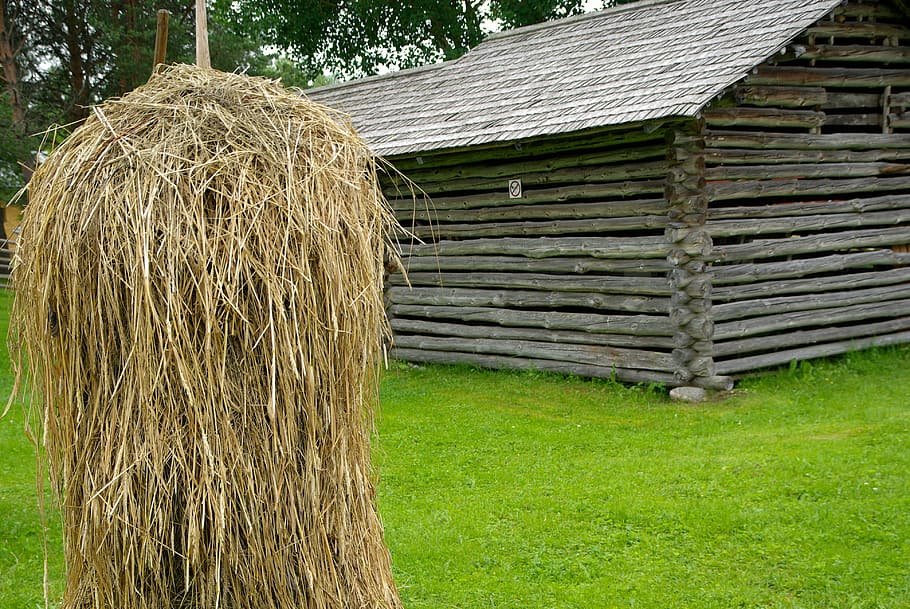 Finland, Farm, Haystack, Architecture, agriculture, grass, field HD wallpaper