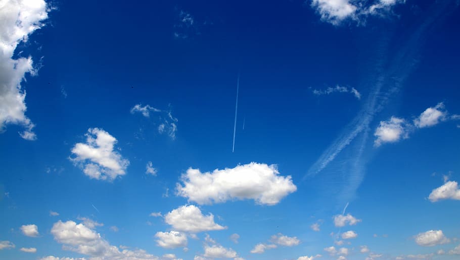 cloud, sky, white, fluffy, blue, giving, nature, summer, air HD wallpaper