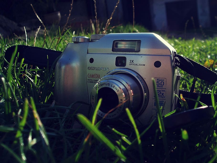 Camera, Grass, Green, no people, day, outdoors, close-up, plant HD wallpaper