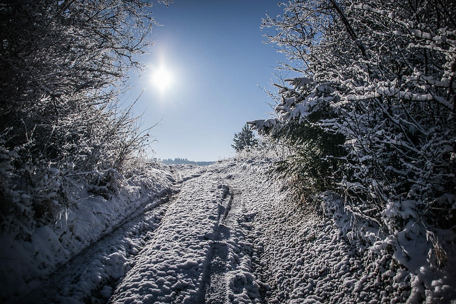 path, winter, snow, landscape, frost, icing, sunny day, cold temperature HD wallpaper