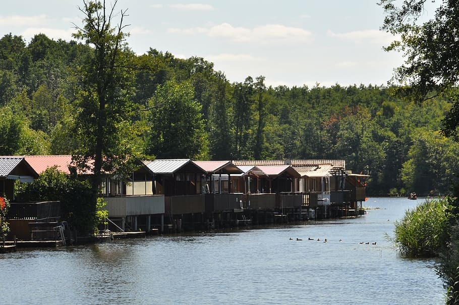 houseboat, müritz, boot, tree, water, plant, built structure HD wallpaper