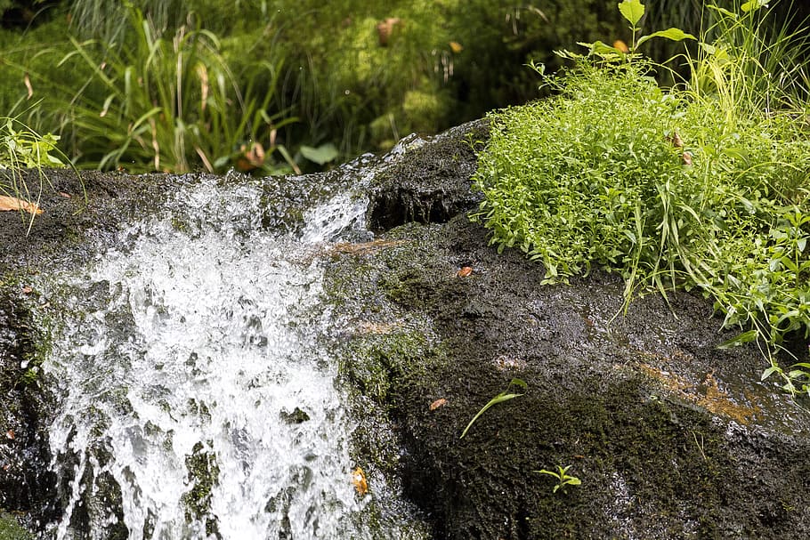 flowing river, all saints, waterfall, source, nature, local recreation HD wallpaper