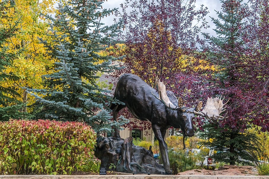Vail, Colorado, Statue, Moose, Foliage, trees, flowers sky HD wallpaper