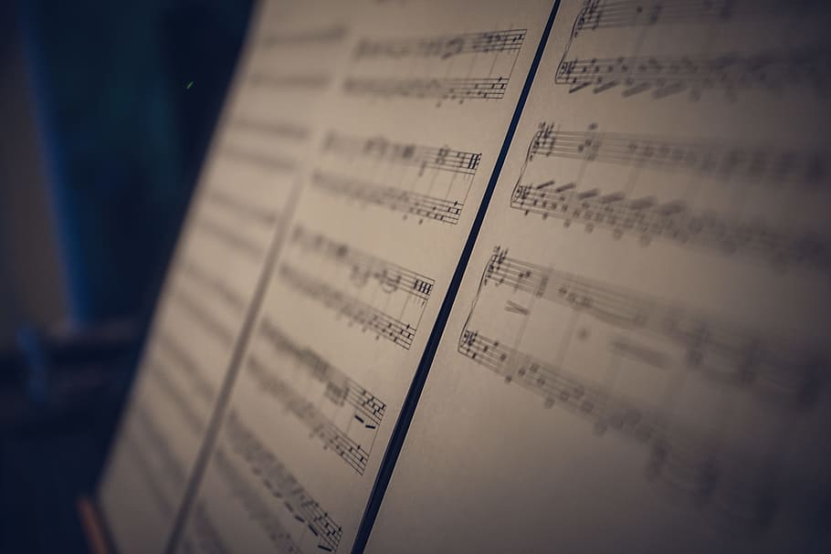 Musical Notes, blur, close-up, composition, focus, page, business HD wallpaper