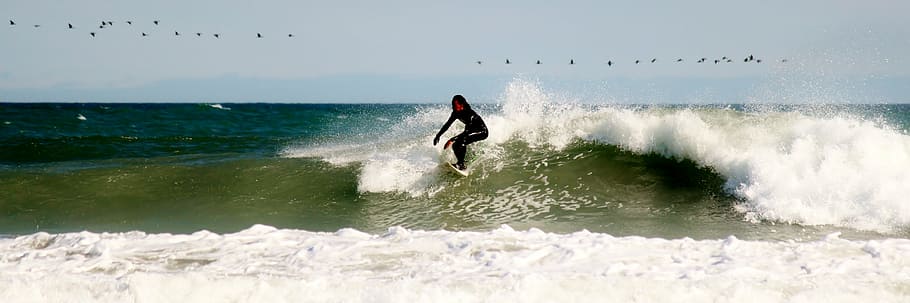 surfer, surfboard, surfing, leisure, skill, beach, sea, water sports HD wallpaper