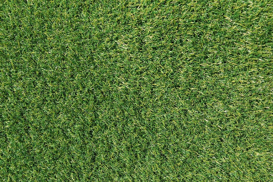 field, lawn, green, green color, grass, full frame, backgrounds HD wallpaper