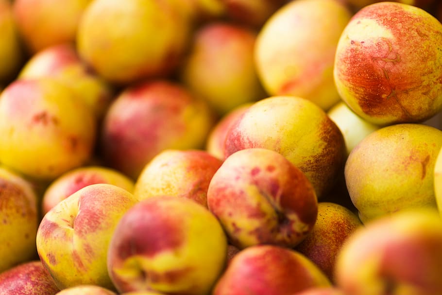 bunch of fruits, bunch of yellow fruits, fruity, peach, nectarine HD wallpaper