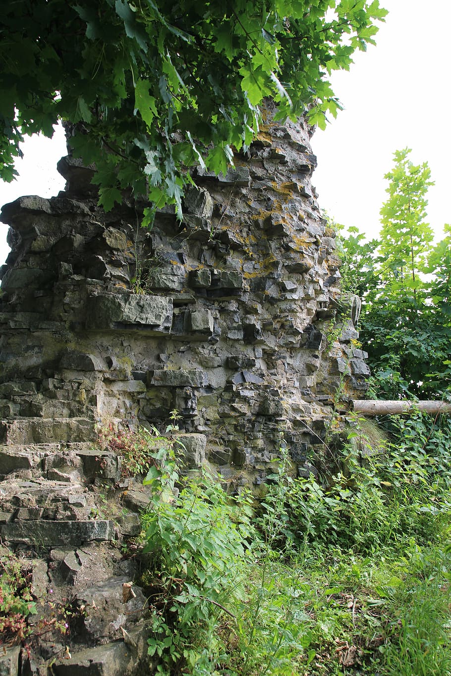 stone, nature, weathered, wall, ruin, castle, green, tree, plant HD wallpaper