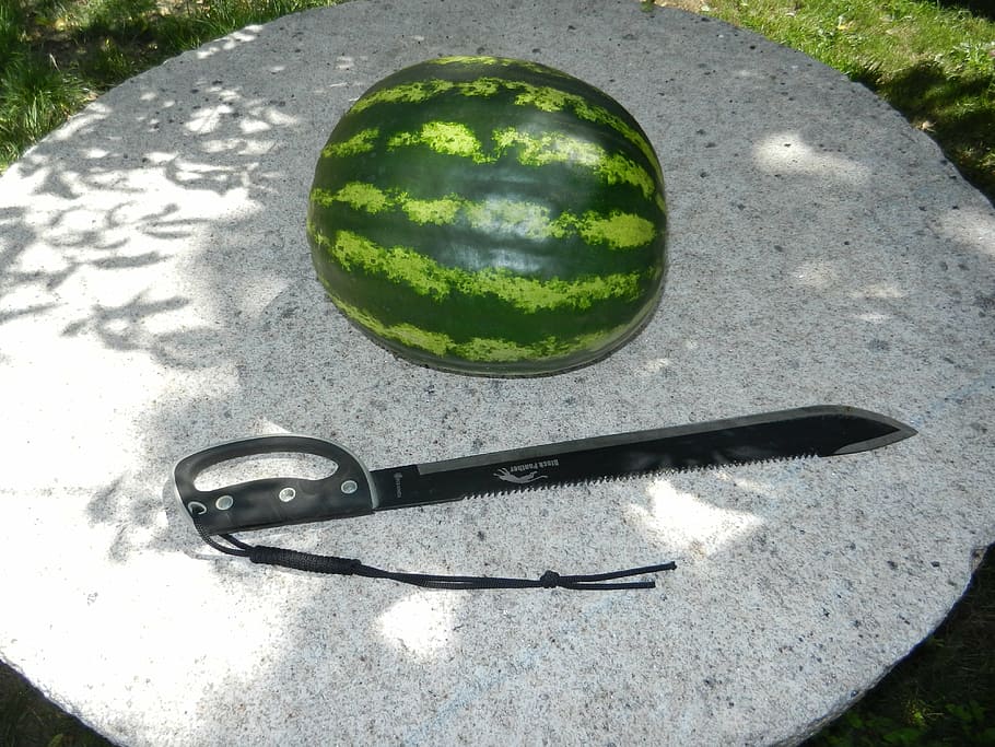 watermelon, fruit, sword, shadow, sunlight, green color, day HD wallpaper