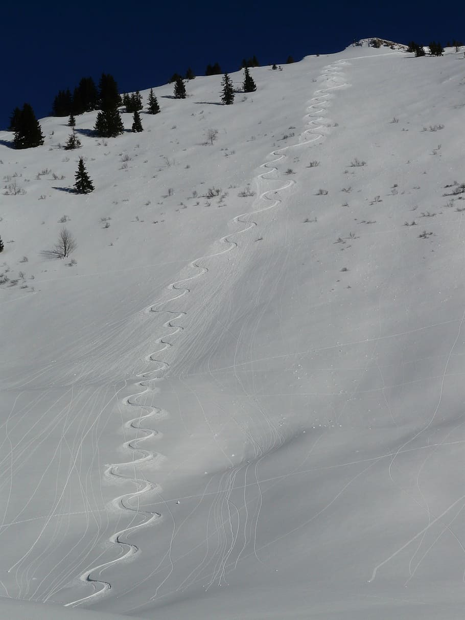 skiing, departure, wag, trace, curves, snow, snowy, track, winter HD wallpaper