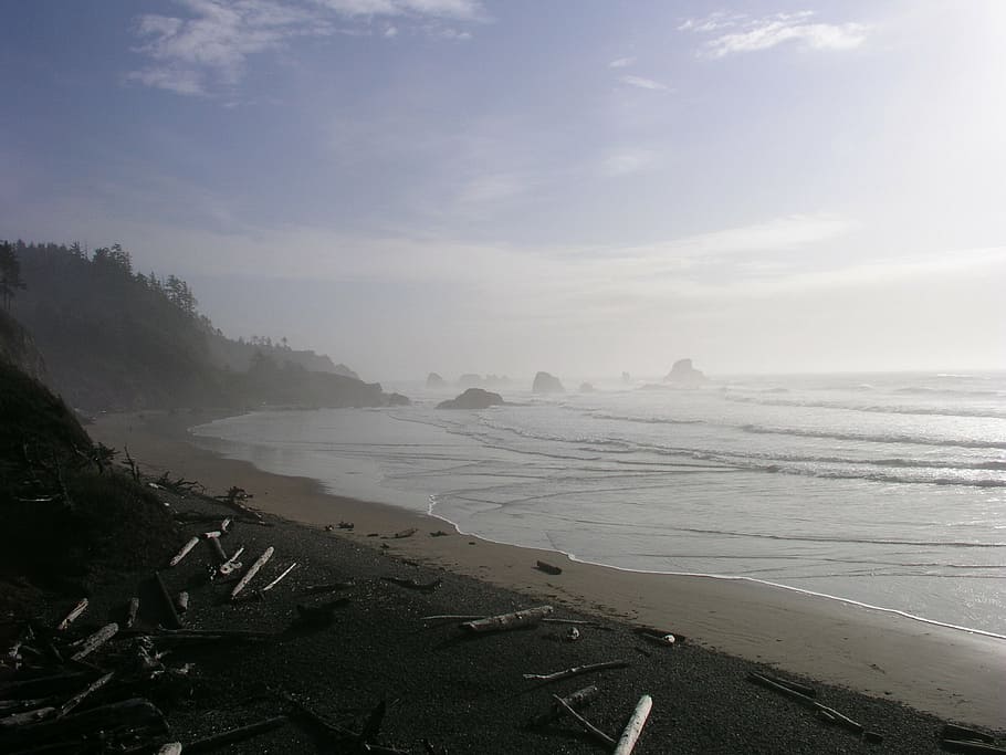 ocean, oregon, pacific, coast, waves, coastline, landscape HD wallpaper