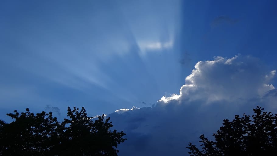 Thunderstorm, Nature, sky, dark clouds, cloud - sky, tree, scenics HD wallpaper