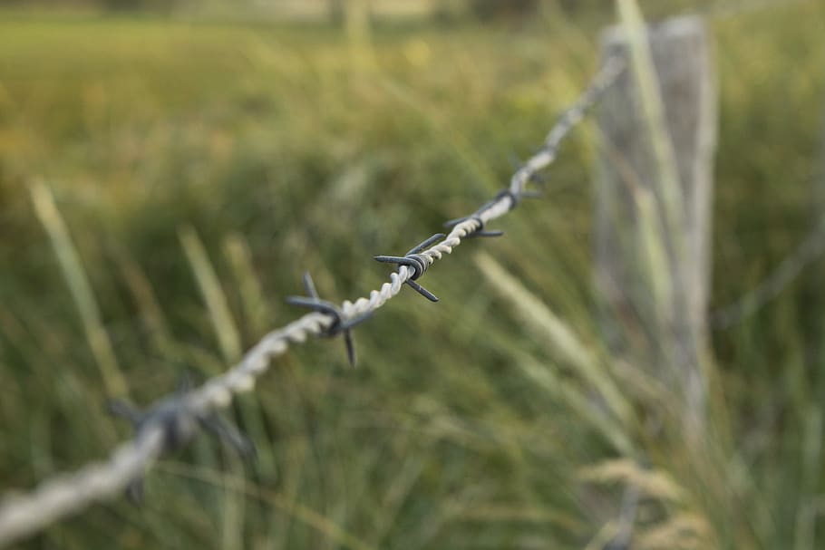 barbed wire, meadow, barrier, dune, border, demarcation, nature HD wallpaper