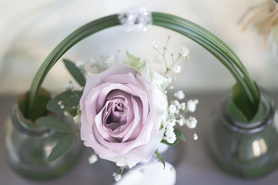 selective focus photography of purple rose in bloom, arrangement