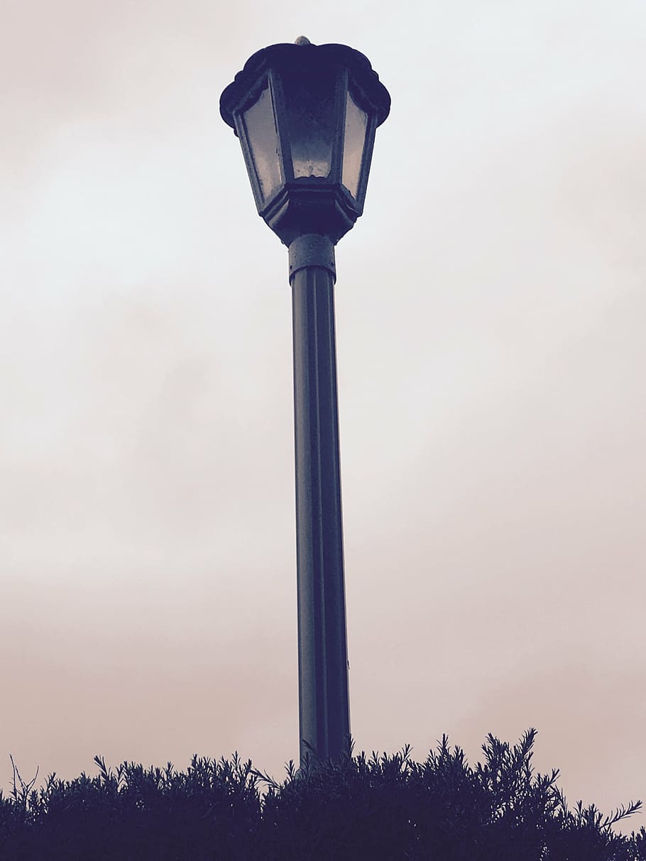lamp, light, decorative, sky, low angle view, street light HD wallpaper