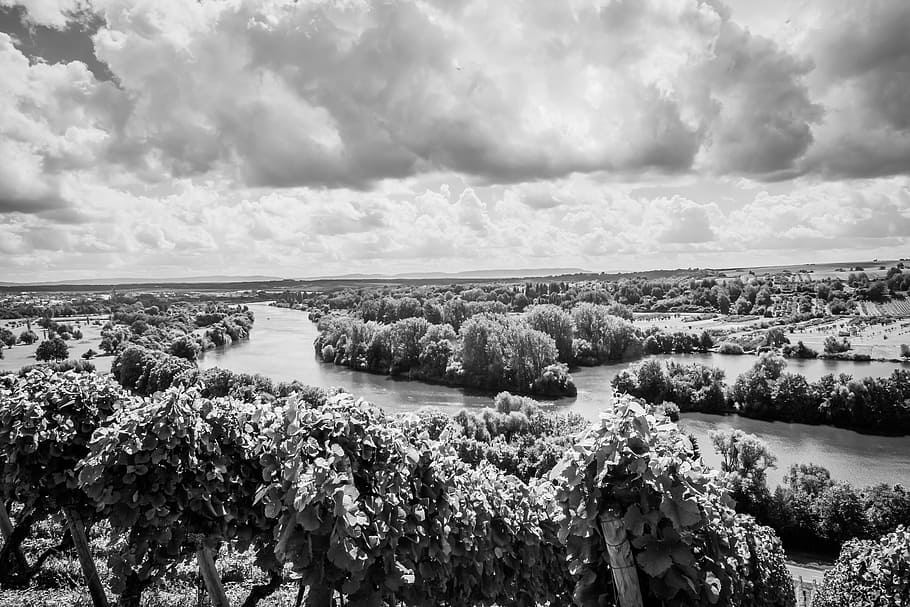 black-and-white, nature, sky, water, clouds, environment, forest HD wallpaper