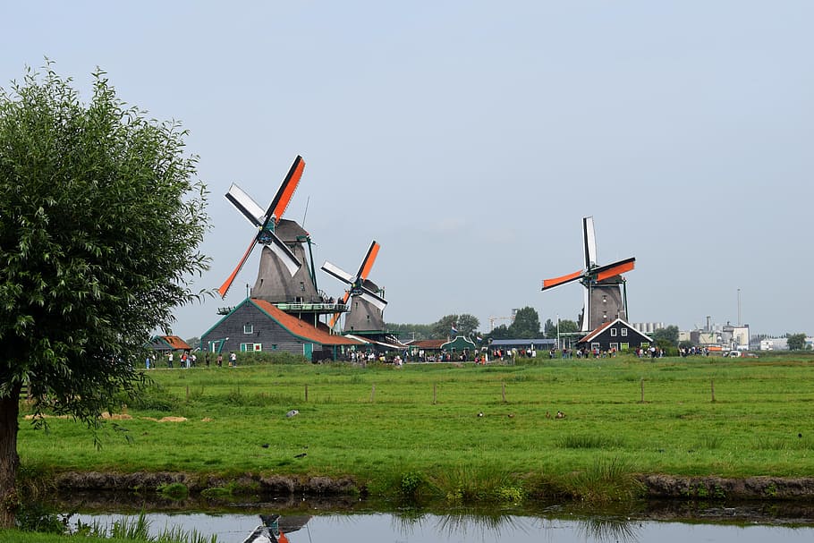 windmills, dutch landscape, netherlands, holland, cultural heritage, HD wallpaper