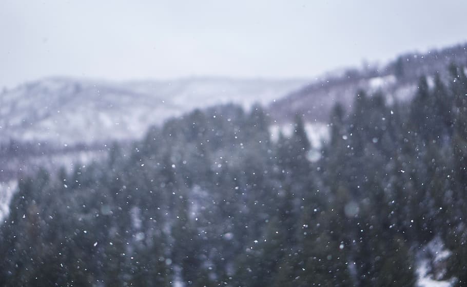 blur, trees, plants, mountain, snow, winter, cold, cold temperature HD wallpaper