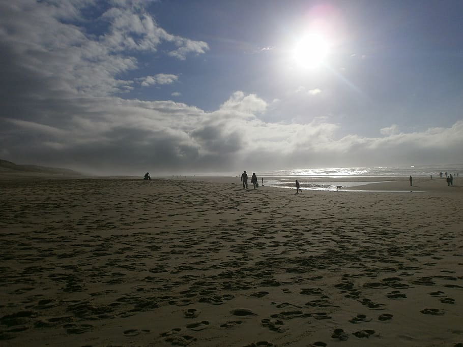 beach, windy, landscape, coast, sky, cloud - sky, sand, water HD wallpaper