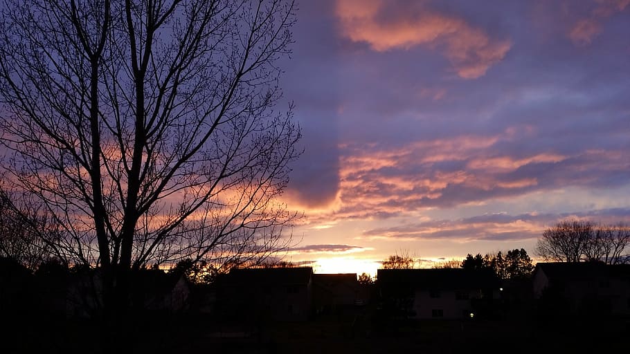 sunset, silhouette, sky, nature, color, outdoor, purple, trees HD wallpaper