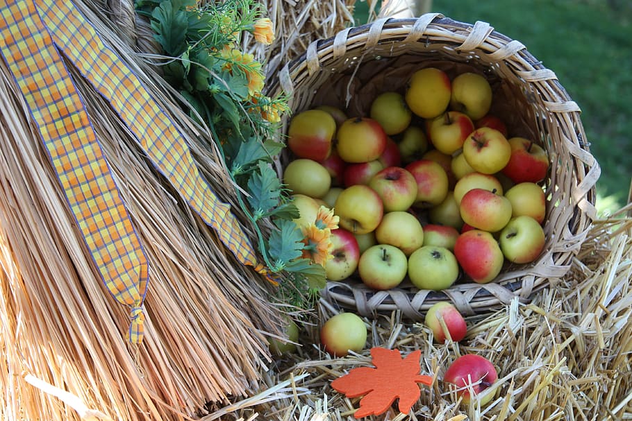 apple, customs, fruit, tradition, autumn, need old, folk festival HD wallpaper