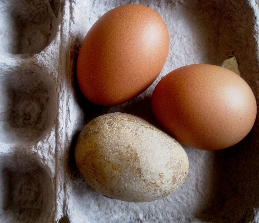 eggs, chicken, stone, pebble, egg shaped, egg box, food, animal Egg HD wallpaper