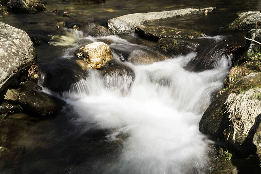 Close-up of rapids and cascades in the river at Great Smoky Mountains National Park, North Carolina, HD wallpaper