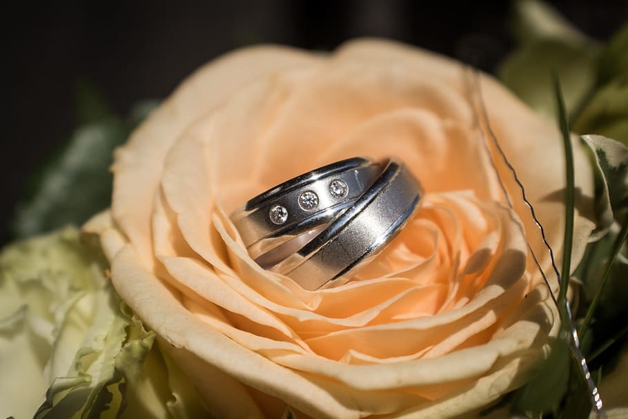 Rings, Wedding, Bride, Marry, White, love, bouquet, bridal bouquet HD wallpaper