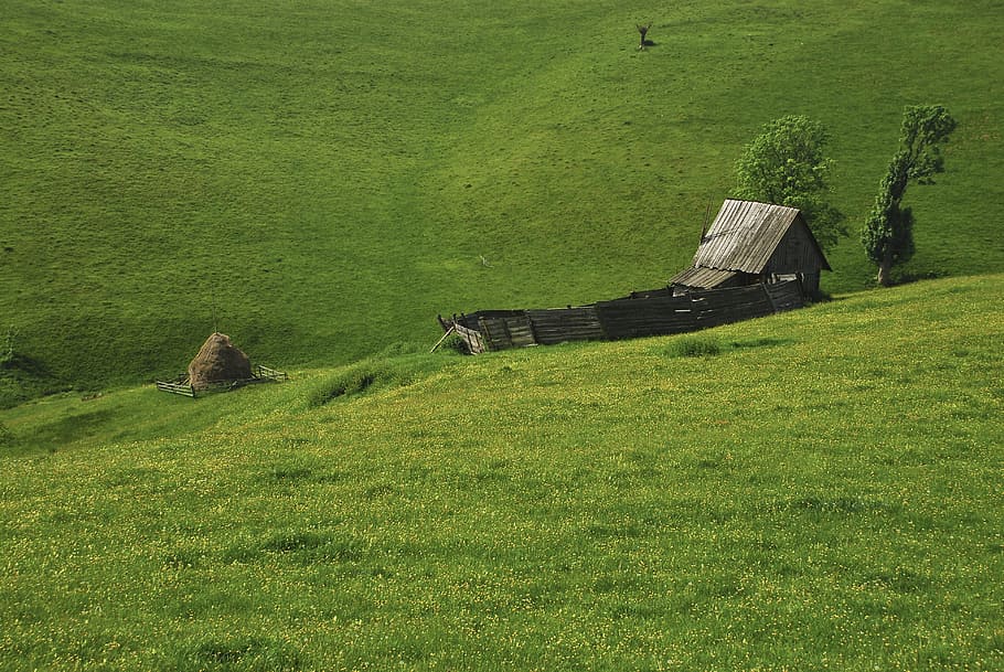 landscape, sheepfold, rustic, mountain, green color, grass HD wallpaper