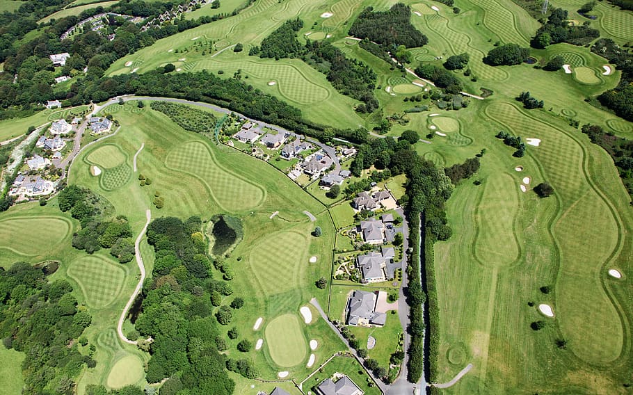 aerial view of golf course, houses surrounded by green leafed trees, HD wallpaper