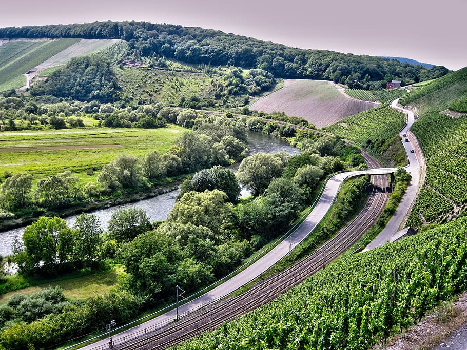 Saar, River, Landscape, Vineyard, nature, rural Scene, scenics HD wallpaper
