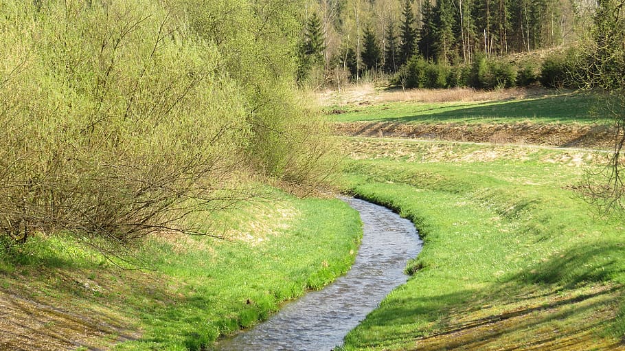 nature, grass, landscape, tree, plant, green color, direction HD wallpaper