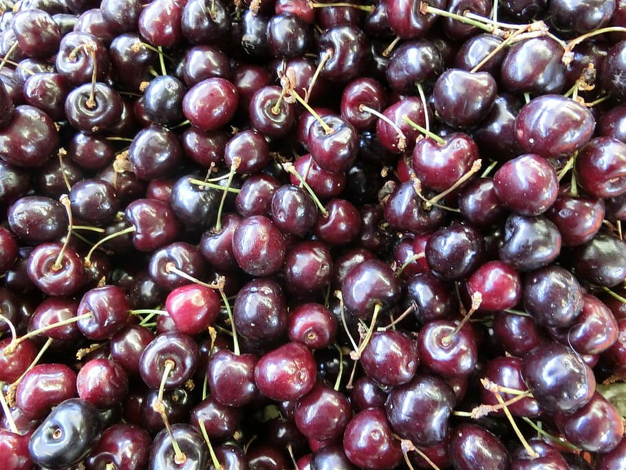 cherries, wild cherry, fruit, red, food, freshness, ripe, organic HD wallpaper