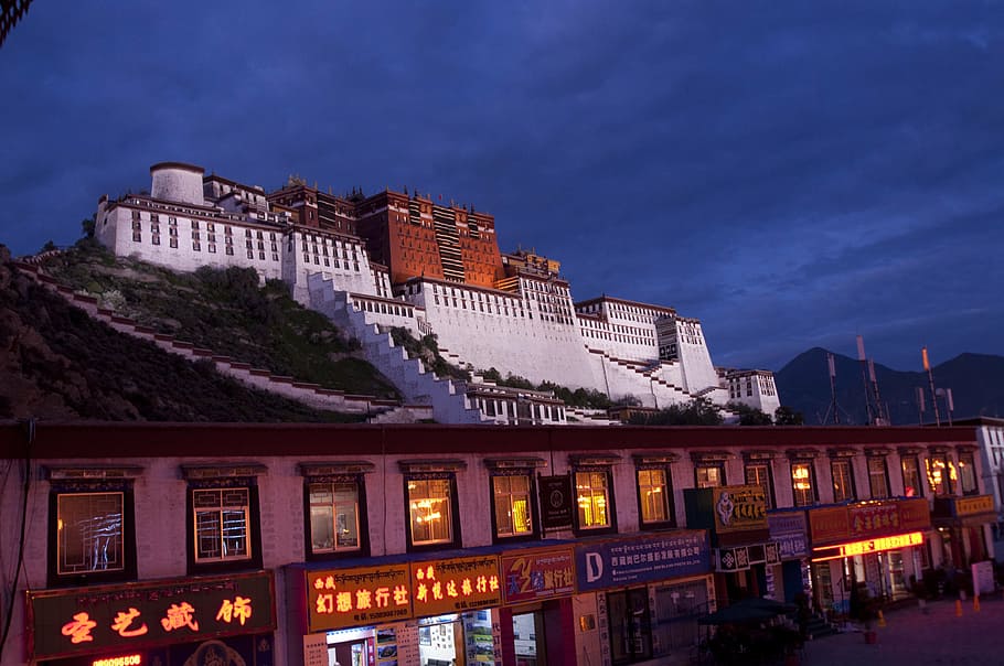 tibet, tibetan, potala palace, lhasa, china, night, travel, HD wallpaper