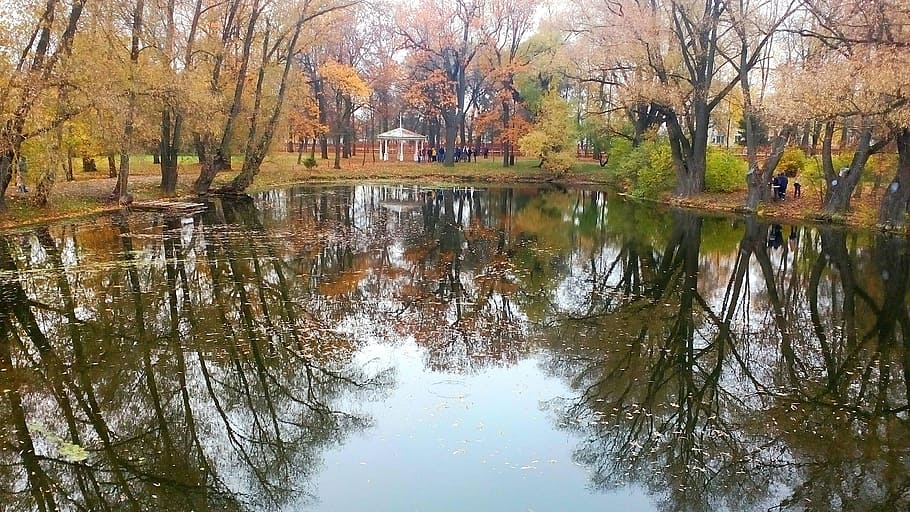 boldin, autumn, pushkin, reflection, tree, water, plant, lake HD wallpaper