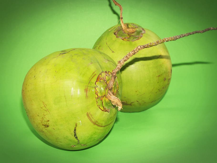 HD wallpaper: coconut, green, white, fruit, background, milk, fresh ...