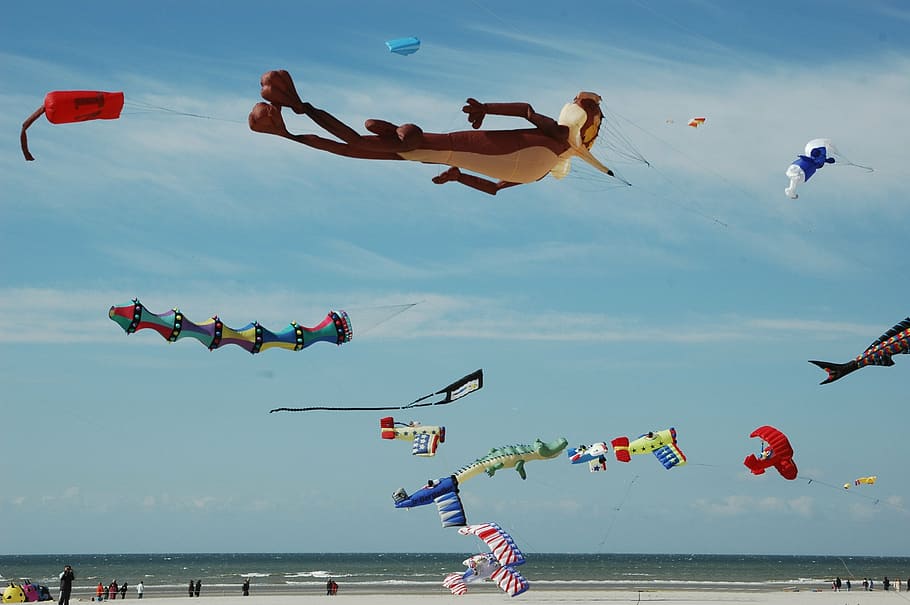 assorted-shape-and-color balloons on beach, kite, berck-plage HD wallpaper
